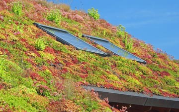 St Lythans living roof systems
